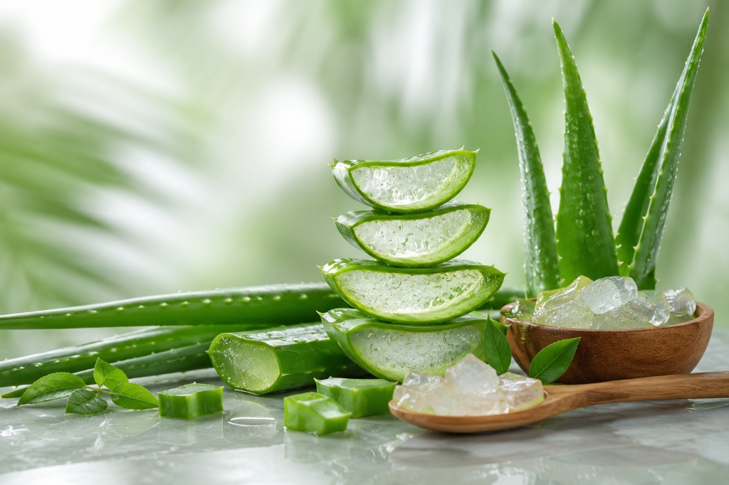 Organic Aloe Vera